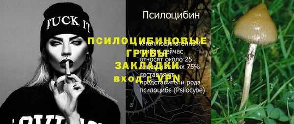 крисы Алзамай