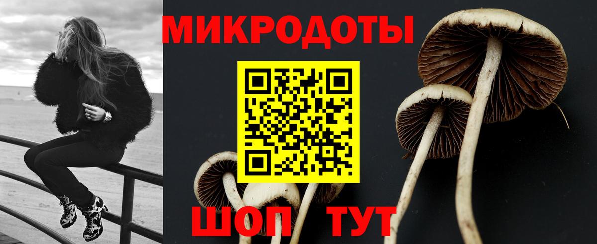 Псилоцибиновые грибы MAGIC MUSHROOMS  Вход с VPN  Салават  купить закладку  Галлюциногенные грибы Psilocybine cubensis 